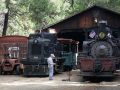Shay Schmalspur-Dampflok No. 10 - Yosemite Mountain Sugar Pine Railroad