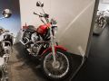 Harley-Davidson Sporter Evo - ab Baujahr 1985