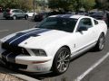 Ford Mustang V - Shelby