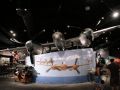 Lockheed P-38 L Lightning