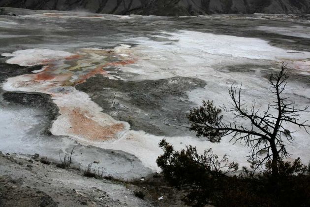 Yellowstone National Park - Mammoth Hot Springs, Cupid Spring