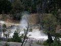 Yellowstone National Park - Mammoth Hot Springs, Upper Terraces Area