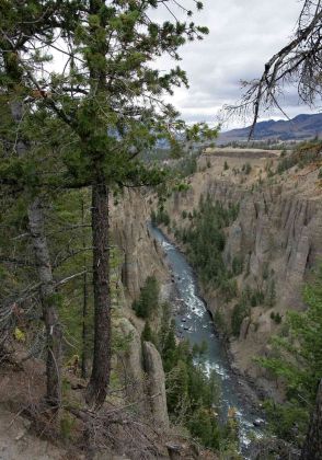 Yellowstone National Park - Ausblick vom Yellowstone River Overlook