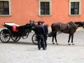 Kutsche auf dem Plac Zankowy/Schlossplatz vor dem Königsschloss - die Altstadt von Warschau
