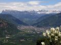 Bozen-Bolzano mit Schlern und Rosengarten - Blick von Eppan-Perdonig
