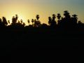 Sudan-Rundreise - Sonnenuntergang bei Dongola