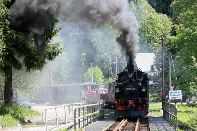 Pressnitztalbahn - die Schmalspur-Dampflok 99 1568-7 unter Volldampf während der Abfahrt in Richtung Jöhstadt