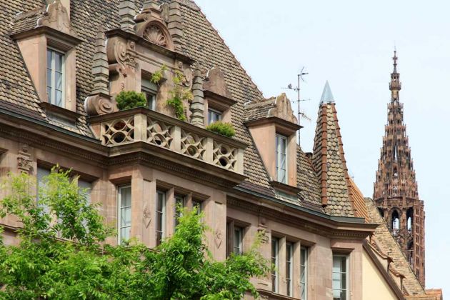 Strasbourg - Impressionen an der Ill mit dem Turm des Strassburger Münsters