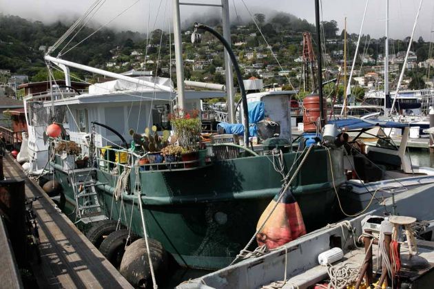 Hausboot im Pelican Harbour von Sausalito - San Francisco Bay