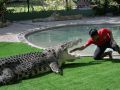 Krokodil-Show im Crocodile Adventureland Langkawi