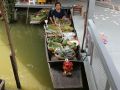 Auf dem Taling Chan Floating Market in Bangkok - Thailand