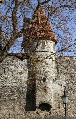 Die historische Stadtmauer Tallinns am Kommandantengarten - Toompea, Domberg