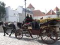 Tallinn, Harju - Kutschfahrten durch die historische Altstadt