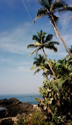 Goa - Arambol Beach