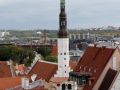 Über den Dächern der unteren Altstadt Tallinns - Blick von der Kohtuotsa Aussichtsplattform auf dem Domberg