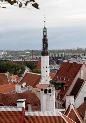 Über den Dächern der unteren Altstadt Tallinns - Blick von der Kohtuotsa Aussichtsplattform auf dem Domberg