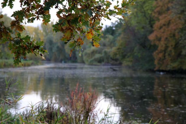 Herbstliche Impressionen am Luther See - Wunstorf-Luthe