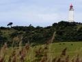 Leuchtturm Dornbusch auf der Insel Hiddensee - Ostseeküste Mecklenburg-Vorpommern