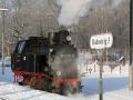 Die Mecklenburgische Bäderbahn Molli im Winter - die Dampflok 99 2331-9 am Bahnsteig 5 in Bad Doberan