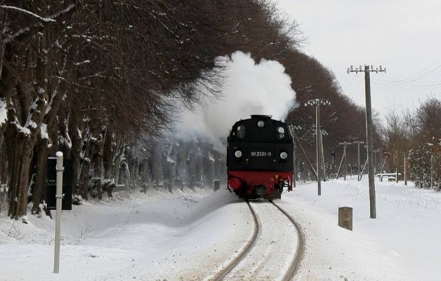 Die Mecklenburgische Bäderbahn Molli im Winter - der Dampfzug an der Lindenalle