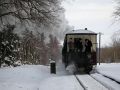 Die Mecklenburgische Bäderbahn Molli im Winter, der Dampfzug an der Lindenalle - Bye, bye!