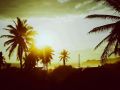 Sunset and Palmtrees - Sonnenuntergang in Zipolite - Mexikos Süden am Pazifik