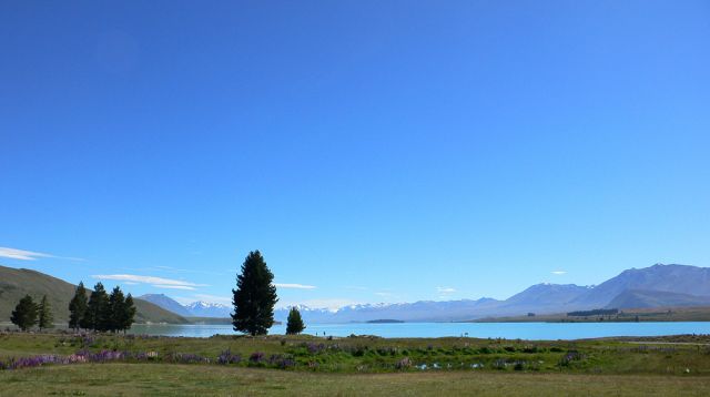 Lake Tekapo - Neuseeland