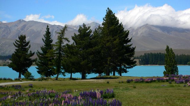 Lake Tekapo - Neuseeland