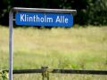 Gut Klintholm, Klintholm Gods - die Klintholm Allee, Høje Møn im Osten der Ferieninsel Møn