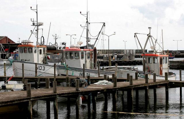 Klintholm Havn - Fischkutter im größten Fischerei- und Yachthafen der dänischen Ostsee