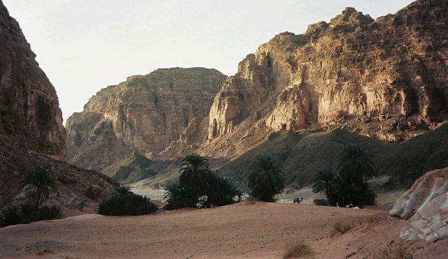 Wüste Sinai, Rastplatz in einer kleinen Oase - drei Tage mit Beduinen und Kamelen unterwegs im Sinai