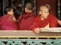 Sikkim - Die Rumtek Monestry, Mönche im buddhistischen Kloster nahe Gangtok
