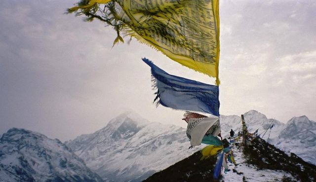 Sikkim - Auf dem Djongri Trek - der Djongri Peak in 4.400 m Höhe ist erreicht