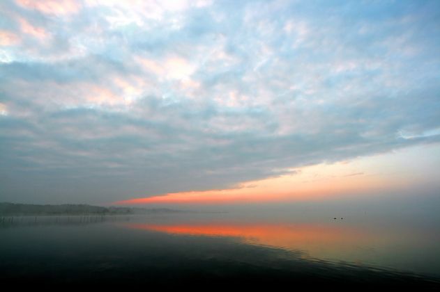 Steinhuder Meer Nordufer, bevor die Sonne aufgeht - Frühnebel am Mardorfer Uferweg