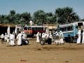 Abu Hamed - Bus-Transport für die Landarbeiter