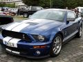 Ford Mustang - Ford Mustang V Shelby Coupe