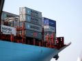 Containerfrachter im Waltershofer Hafen - Hafenrundfahrt Hamburg