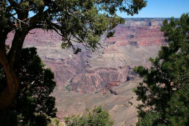 Grand Canyon South Rim - Ausblick vom Rim Trail zwischen YavapaI Point und Mather Point zum North Rim