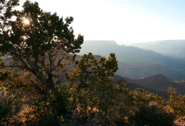 Grand Canyon National Park Rim Trail zwischen YavapaI Point und Mather Point zum Sonnenuntergang
