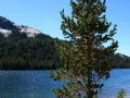 Tenaya Lake - Yosemite National Park