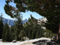 Olmsted Point, Blick auf den Halfdome - Yosemite National Park