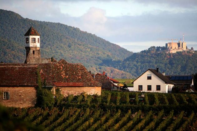 Weinreise in die Pfalz - Kloster und Weingut Heilsbruck Edenkoben