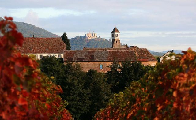 Weinreise in die Pfalz - Kloster und Weingut Heilsbruck Edenkoben
