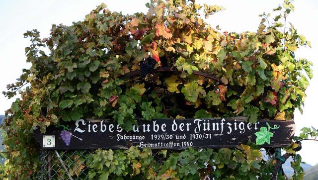 Weinreise in die Pfalz - Weinlehrpfad Edenkoben