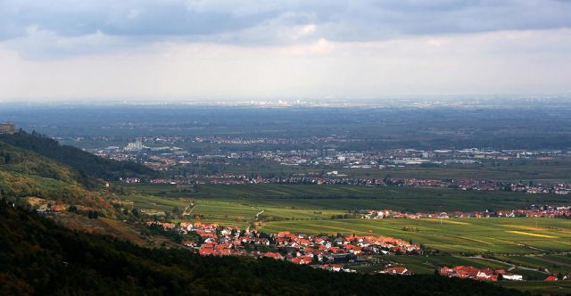 Weinreise in die Pfalz - Weindorf St. Martin und Neustadt an der Weinstrasse