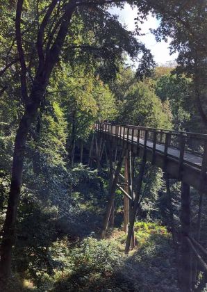 Der Baumwipfelpfad des Naturerbe Zentrums Rügen in Prora Der Baumwipfelpfad des Naturerbe Zentrums Rügen in Prora