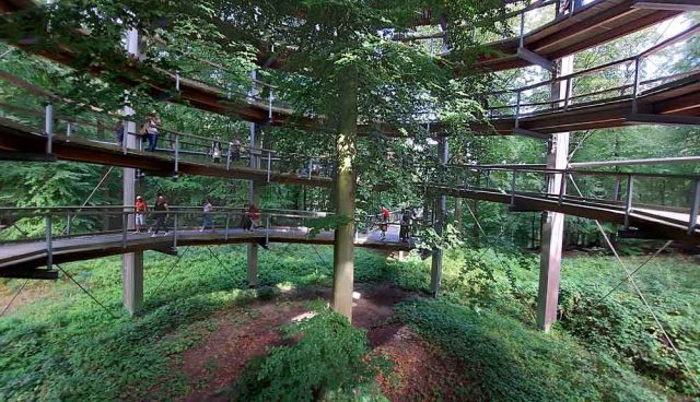 Der Aussichtsturm 'Adlerhorst' am Baumwipfelpfad des Naturerbe Zentrums Rügen Der Aussichtsturm 'Adlerhorst' am Baumwipfelpfad des Naturerbe Zentrums Rügen