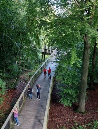 Der Baumwipfelpfad des Naturerbe Zentrums Rügen in Prora Der Baumwipfelpfad des Naturerbe Zentrums Rügen in Prora