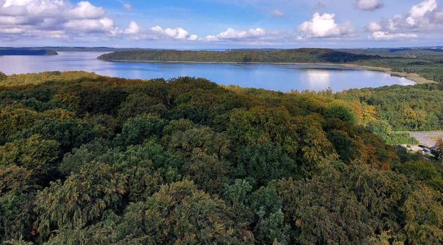 Der Aussichtsturm 'Adlerhorst' des Naturerbe Zentrums Rügen - der Blick auf den Jasmunder Bodden Der Aussichtsturm 'Adlerhorst' des Naturerbe Zentrums Rügen - der Blick auf den Jasmunder Bodden