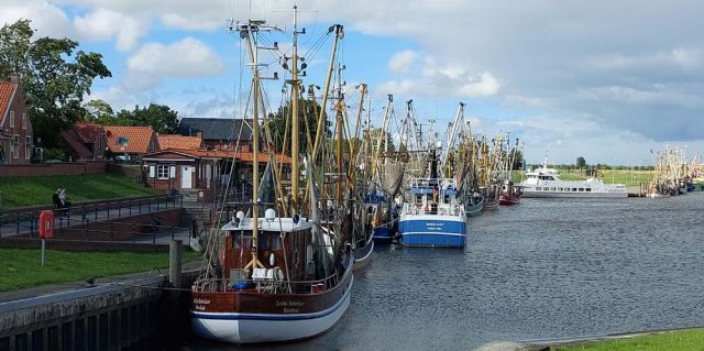 Greetsiel-Krummhörn - Kutter im Greetsieler Fischereihafen Greetsiel-Krummhörn - Kutter im Greetsieler Fischereihafen